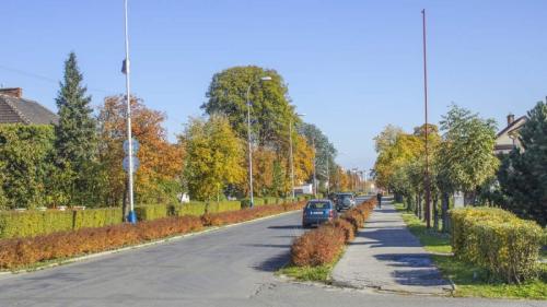 ulica Mierová